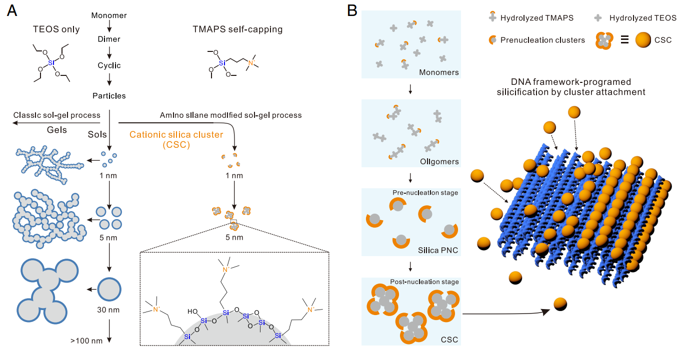 1770722763279980.png 图片2.png